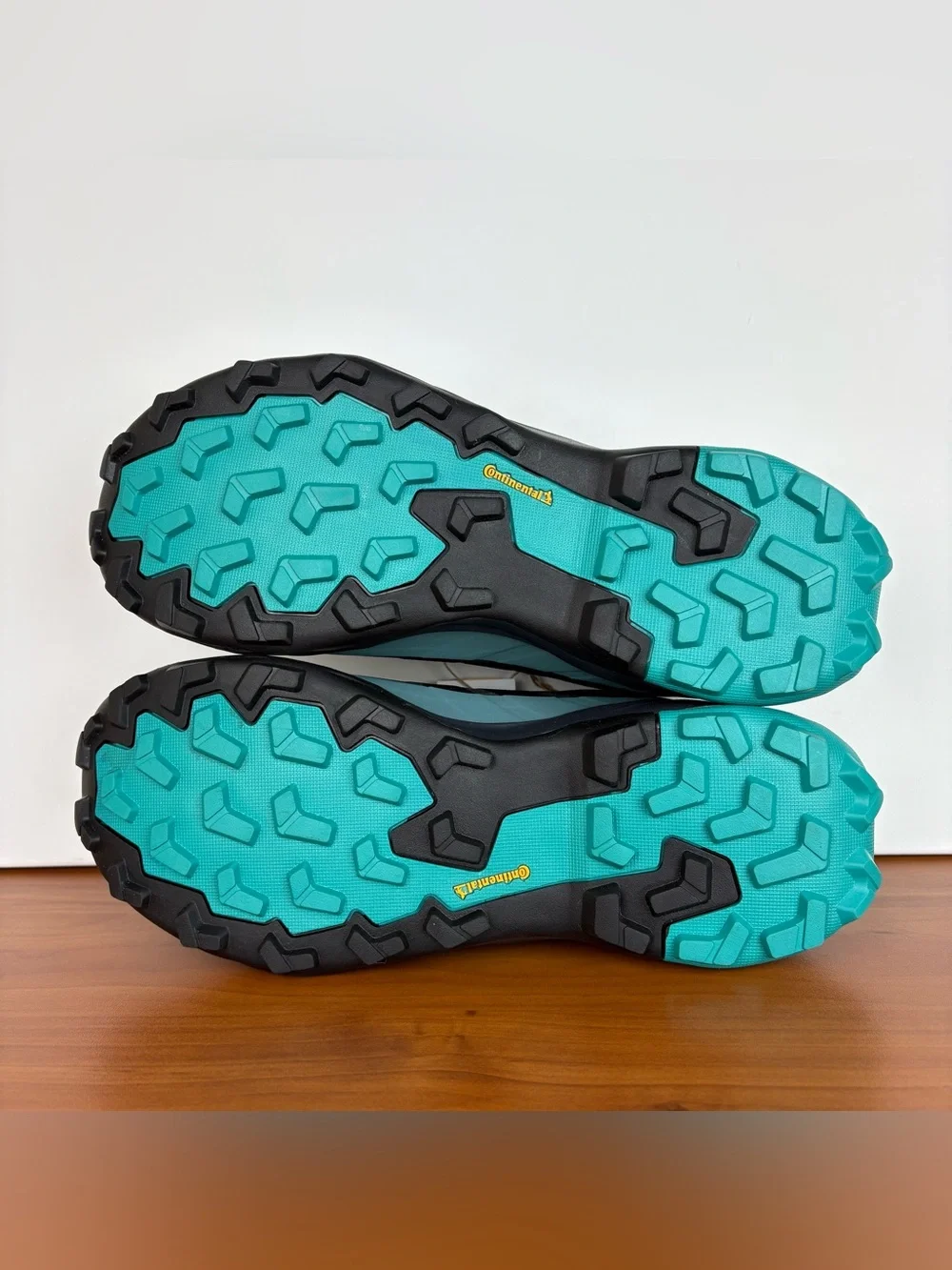 Adidas Terrex Skychaser AX5 GoreTex Hiking Shoes